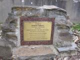 image of grave number 233796